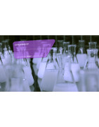 S2P : Biotechnologie et Gamme Verte, Nettoyage Écologique H-de-F