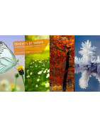 S2P (59 & 62) : Insecticides, Entretien Extérieur & Dégivrants Pro