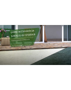 S2P : Nettoyant Extérieurs Pro, Anti-Mousse Toiture et Façade H-de-F