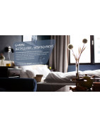 S2P (59 & 62) : Hygiène et Nettoyage pour Hôtellerie Pro H-de-F