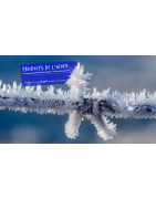 S2P Firchim : Dégivrant, Antigel & Déneigeant PRO Nord (59/62)