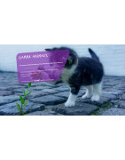 S2P (59 & 62) : Hygiène Animale, Désinfection Chenil et Locaux H-de-F