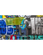 S2P FIRCHIM : Décapants Peintures & Anti-Graffitis Pro - les Hauts-de-France