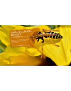 S2P : Insecticides Pro, Répulsifs et Désinsectisation H-de-F