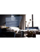 S2P : Désodorisants Désinfectants, Assainissement de l'Air H-de-F